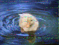 Shortwave Radiogram image