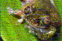 Shortwave Radiogram image