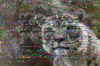 Shortwave Radiogram image