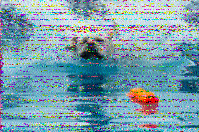 Shortwave Radiogram image