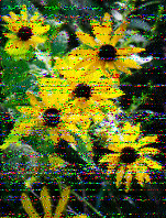Shortwave Radiogram image