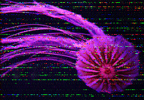 Shortwave Radiogram image