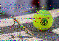 Shortwave Radiogram image