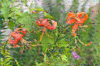 Shortwave Radiogram image