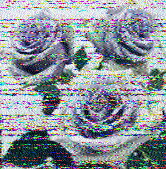 Shortwave Radiogram image