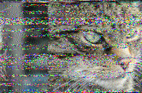 Shortwave Radiogram image