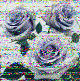 Shortwave Radiogram image