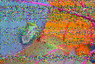 Shortwave Radiogram image