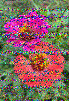 Shortwave Radiogram image