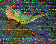 Shortwave Radiogram image