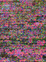 Shortwave Radiogram image