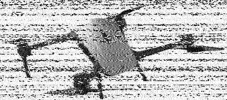 Shortwave Radiogram image