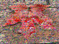 Shortwave Radiogram image