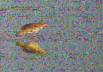 Shortwave Radiogram image