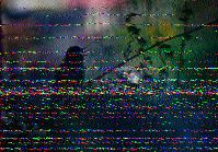 Shortwave Radiogram image