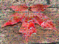 Shortwave Radiogram image